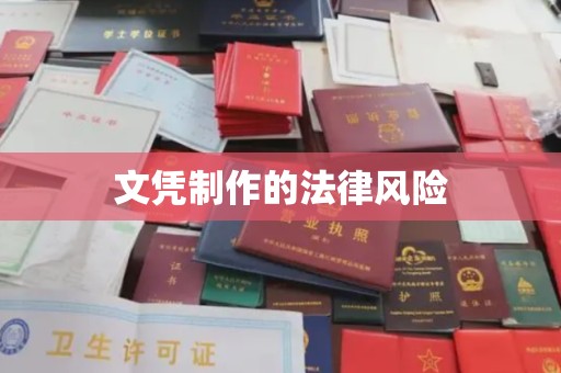 沣东文凭制作的法律风险