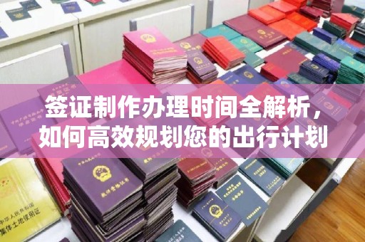 沁水签证制作办理时间全解析，如何高效规划您的出行计划